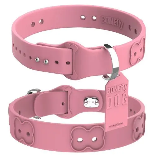 狗项圈 PNG免抠(1024x1024)