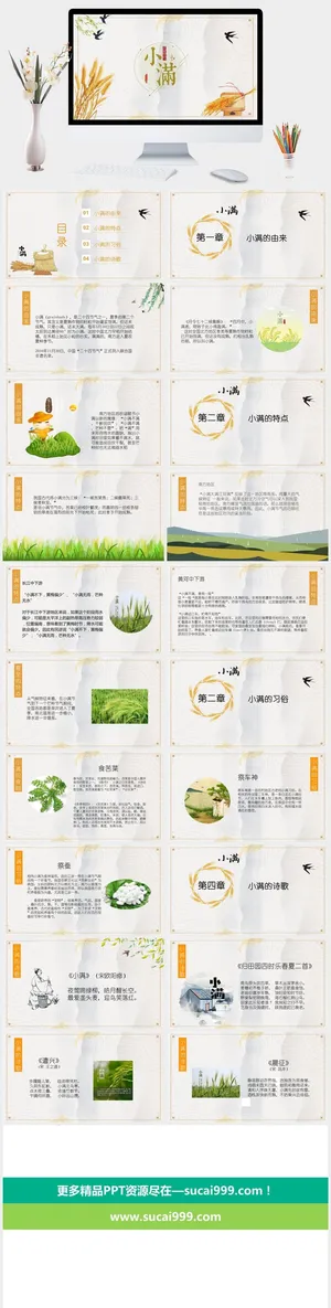 中国风清爽二十四节气小满PPT模板预览图