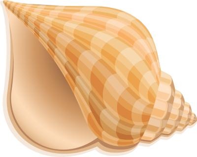 海螺 PNG免抠(400x320)