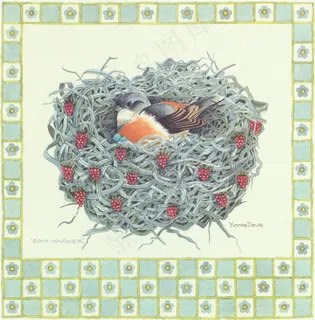 鸟窝高清时尚艺术画