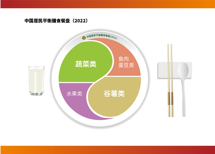 中国居民平衡膳食餐盘单页宣传单eps,ai矢量模版下载