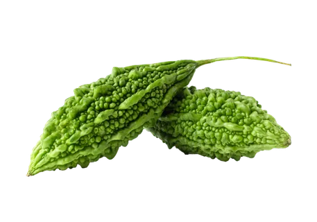 苦瓜 (19)超市商品白底图免抠实物摄影png格式图片透明底