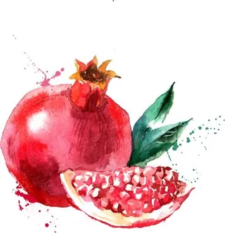 石榴 PNG免抠