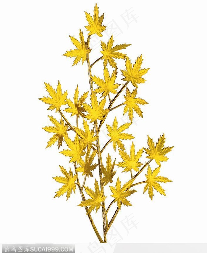黄树枝带叶