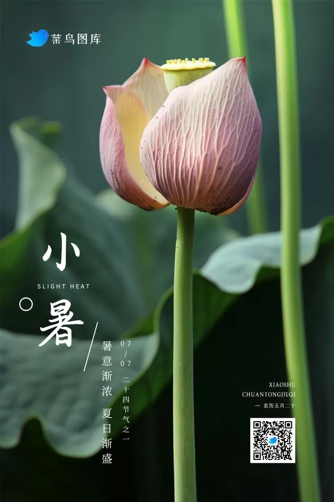 小暑绿色简约意境节气海报(2362x3543)psd模版下载