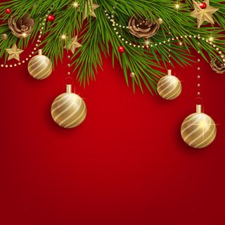 E圣诞节松枝边框挂画