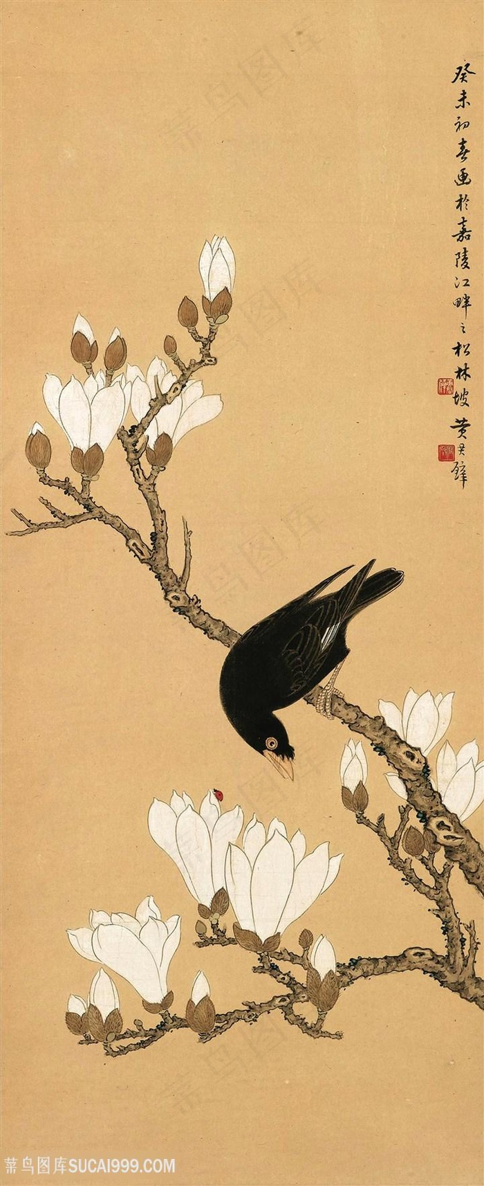 中式玉兰花花鸟装饰画