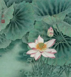 出水俏莲工笔画 出水俏莲工笔画