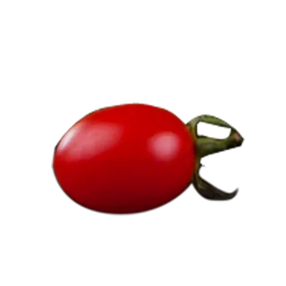 圣女果实物免抠素材