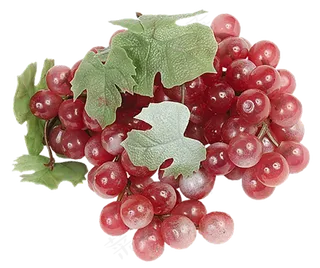 葡萄免抠素材 (14)