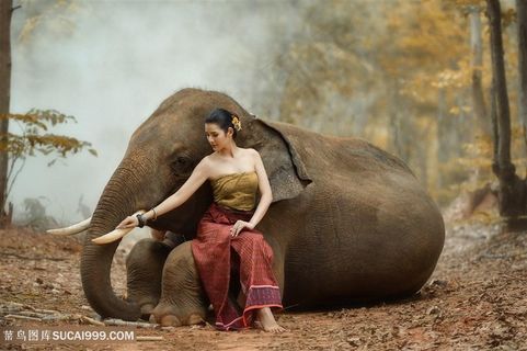 泰国美女与大象高清图