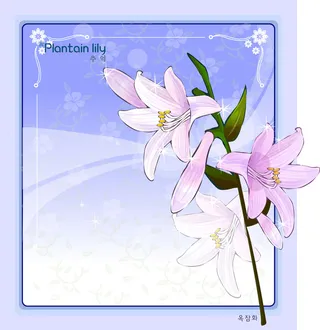 手绘花卉装饰边框背景