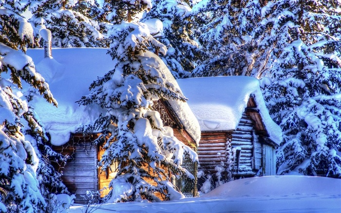 杉树木房子雪景风景图片