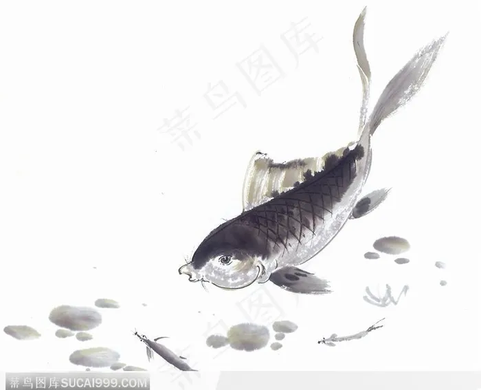 水墨画游鱼