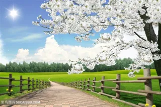 乡村草地小道韩式自然背景