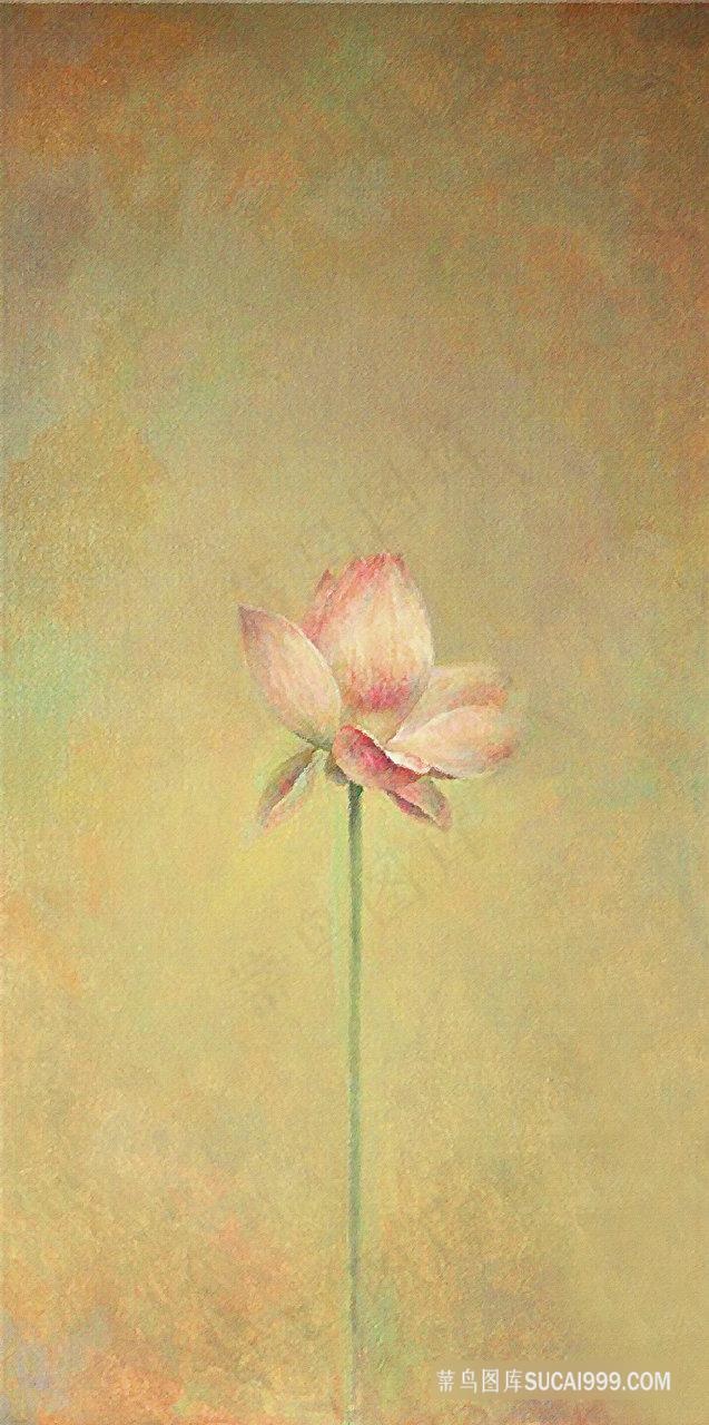 手绘莲花复古装饰画