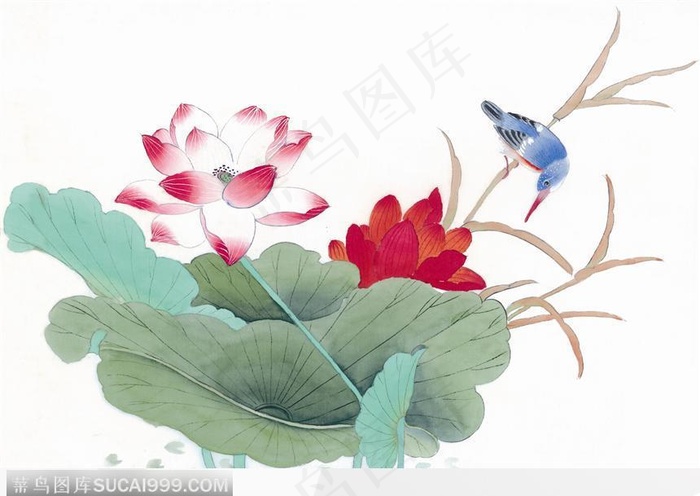 工笔画 荷花