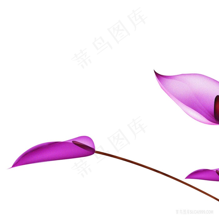 唯美花卉紫色插画