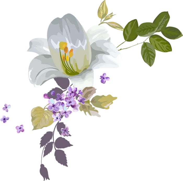 花朵鲜花卡通白色少儿兴趣班