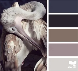 动物配色色卡色彩搭配