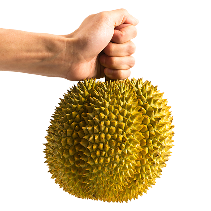 榴莲 (2)水果超市商品白底图免抠实物摄影png格式图片透明底