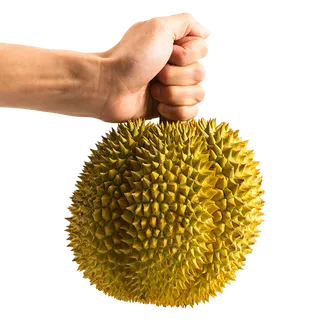 榴莲 (2)水果超市商品白底图免抠实物摄影png格式图片透明底