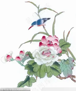工笔画 芙蓉图 工笔画 芙蓉图
