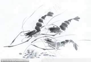 水墨画—虾