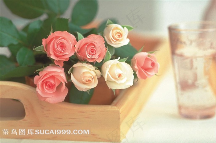 田园木盒上的玫瑰花摄影图