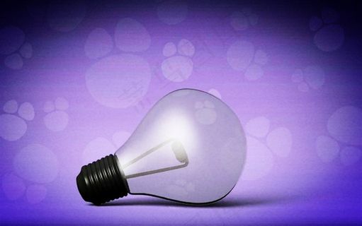 照明产品灯泡