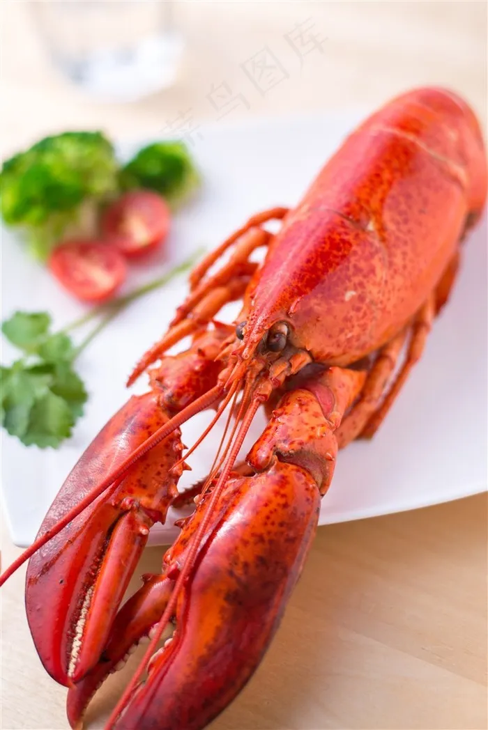 波士顿大龙虾