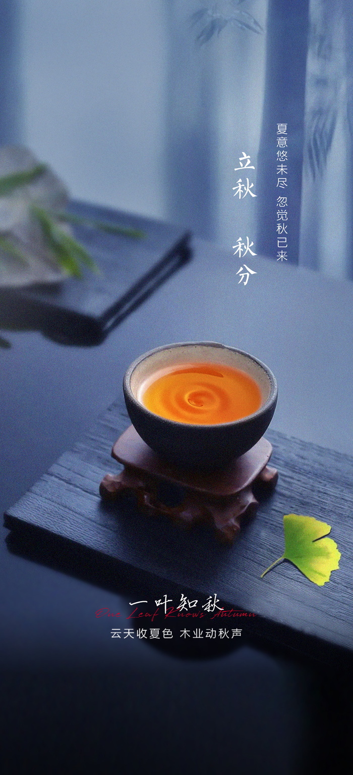 立秋秋分海报psd模版下载