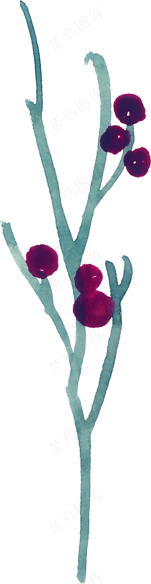 冬季圣诞节花卉果花圈植物免抠海报PNG素材