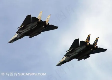 两架飞行的雄猫战斗机