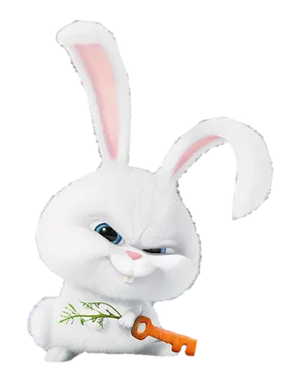 暴力兔兔子兔年