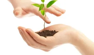 手中的泥土 PNG免抠