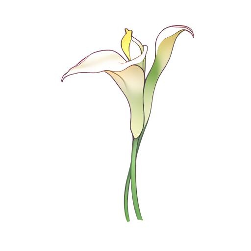 花马蹄莲免抠