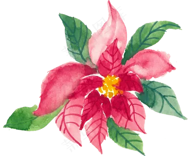 冬季圣诞节花卉果花圈植物免抠海报PNG素材