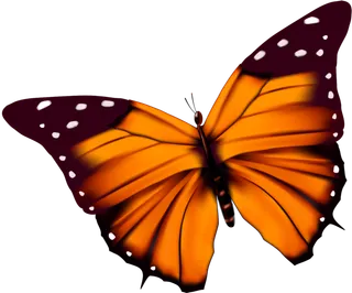 卡通动画动画蝴蝶免扣PNG手绘插画图片素材 (30)