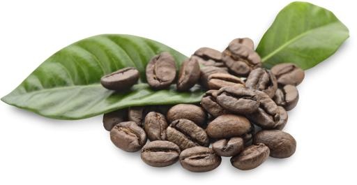 咖啡豆 PNG免抠