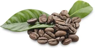 咖啡豆 PNG免抠