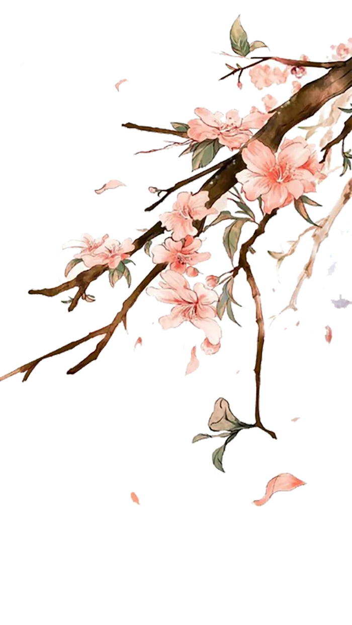 梅花枝头简笔