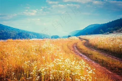 开着花朵的草地和群山 开着花朵的草地和群山