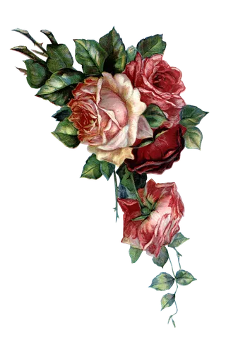 古典花卉png免扣素材