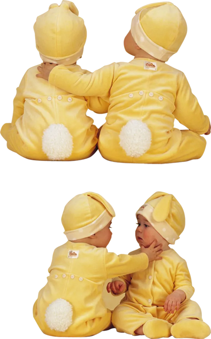双胞胎人物