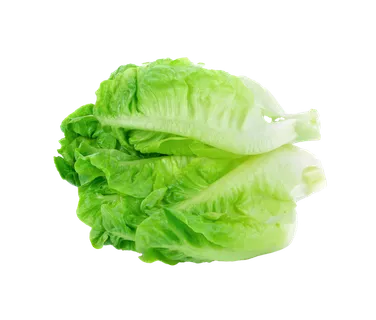 生菜 (35)超市商品白底图免抠实物摄影png格式图片透明底