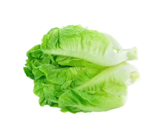 生菜 (35)超市商品白底图免抠实物摄影png格式图片透明底