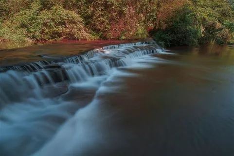 四川黄荆老林风景高清素材