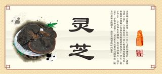 灵芝展板图片