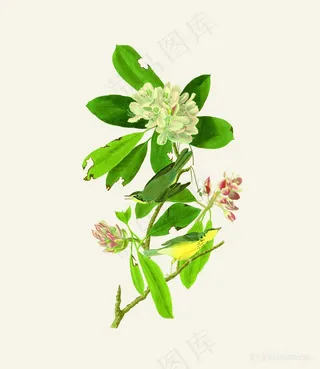 手绘花束花鸟树枝装饰画